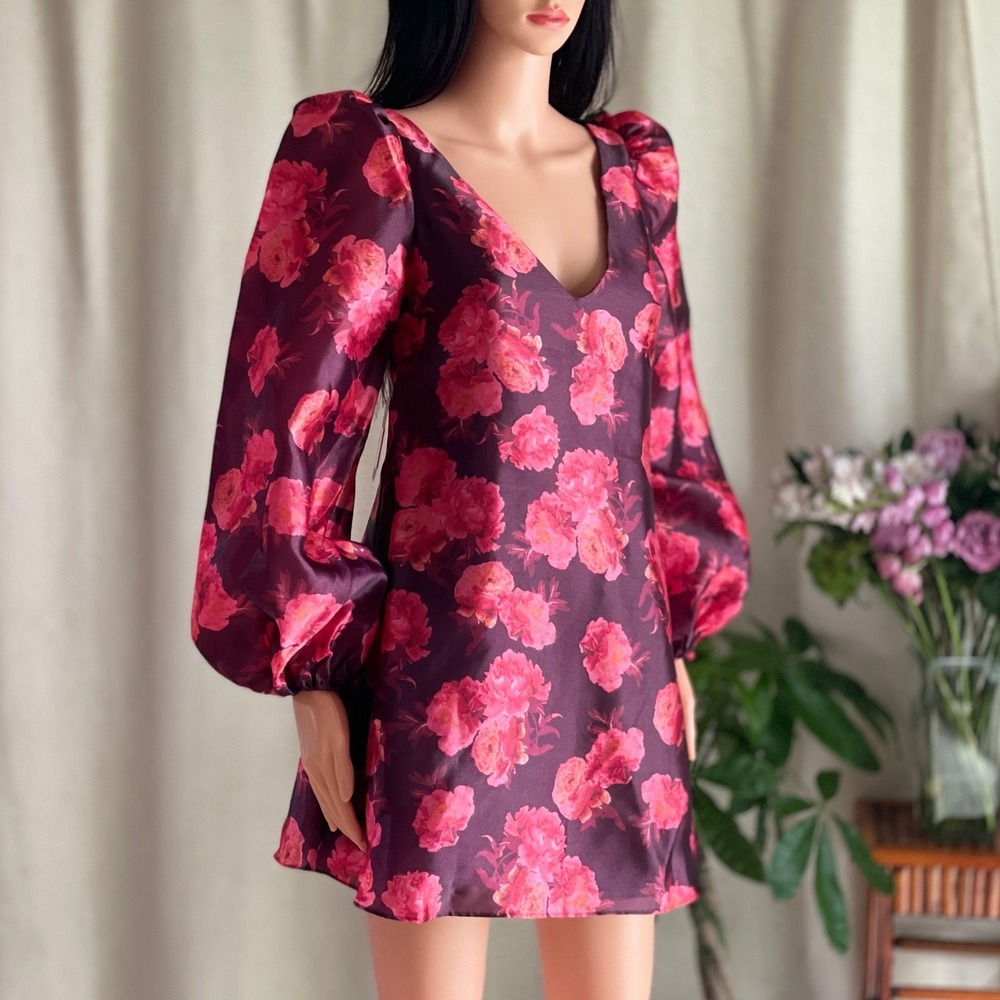 NWT BHLDN Aliana Floral Organza Mini Dress Puff Sleeve Red Pink Coquette XXS